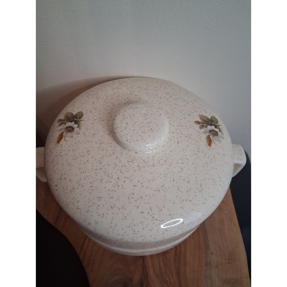 Speckled Stoneware Casserole Dish with Lid Floral Wheat Design Cream - Picture 3 of 8